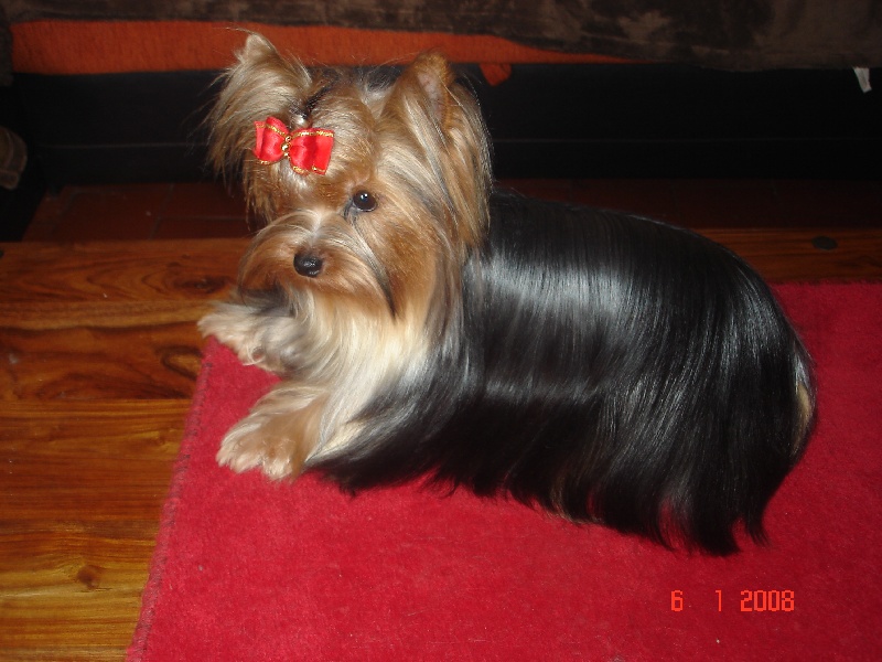 Publication : de la légende des trolls