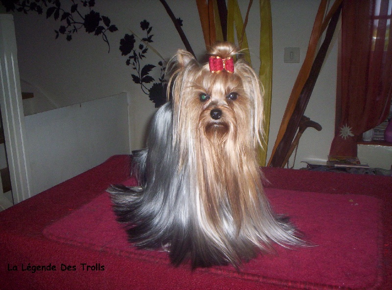 Publication : de la légende des trolls