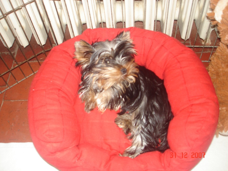 Publication : de la légende des trolls