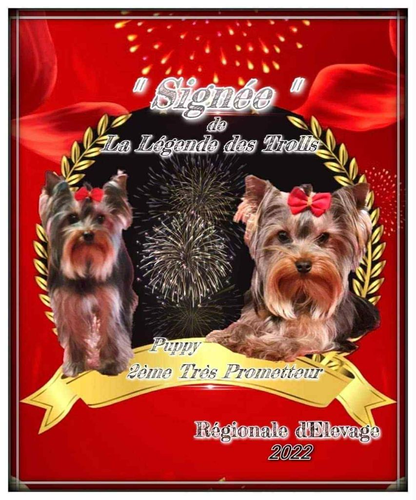 Signee de la légende des trolls