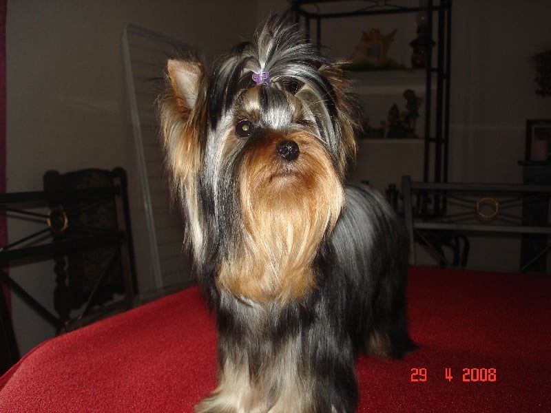 Publication : de la légende des trolls