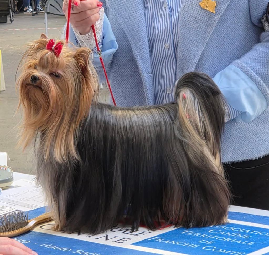 The gril d'amour de la légende des trolls