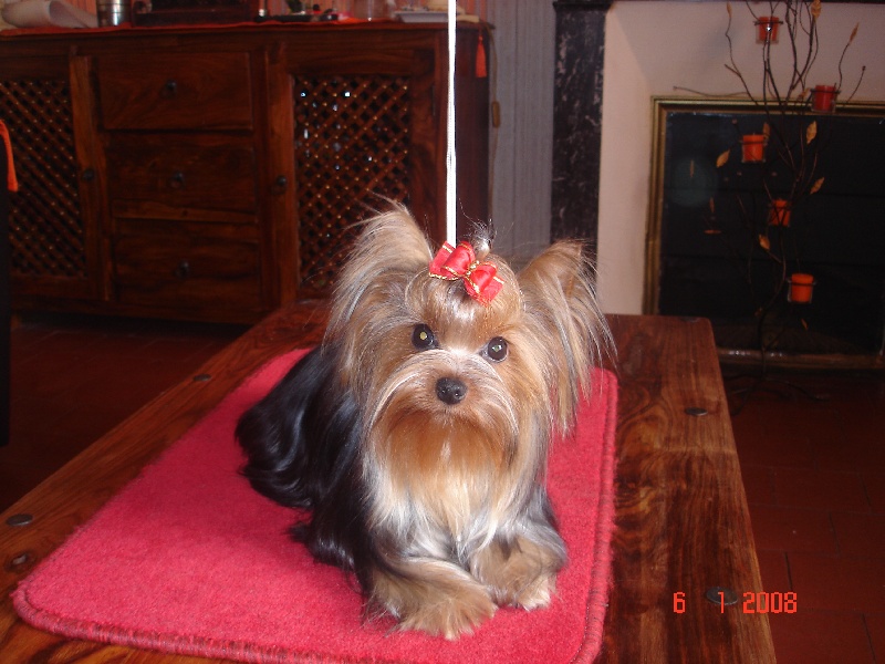 Publication : de la légende des trolls