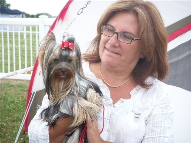 CH. Caprice de star Du p'tit bocage - 1ere excellent meilleur jeune