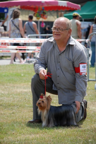 Blue bell' girl Du p'tit bocage - 3 eme excellent