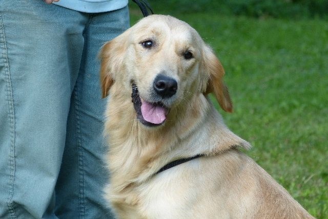 Publication : des Rives de la Bidouze Auteur : FILATREAU