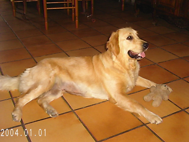 Publication : des Rives de la Bidouze