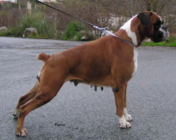 Publication : du Clos de L'Escaladieu