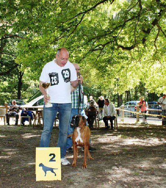 Canelle de la villa patience - Excellent 2ème