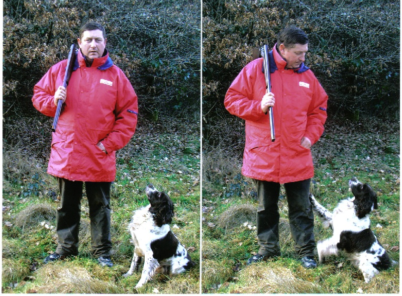 TR. CH. Pin's d'Hurtevent - champion de france St Hubert 2007-2008