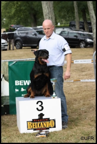 Djazz du Porteur des Reaux - ***Podium 3éme EXCELLENT sur 17 fem***