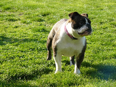 Publication : du Berceau des Anges de Luciela Auteur : Ladauge Lucie
