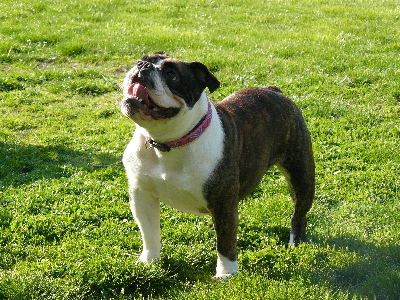 Publication : du Berceau des Anges de Luciela Auteur : Ladauge Lucie