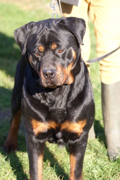 Publication : du Domaine de la Rêverie Auteur : arnaud constantin