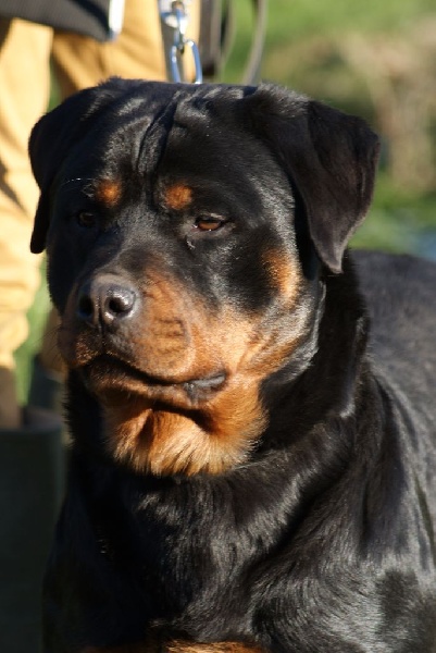 Label du Domaine de la Rêverie