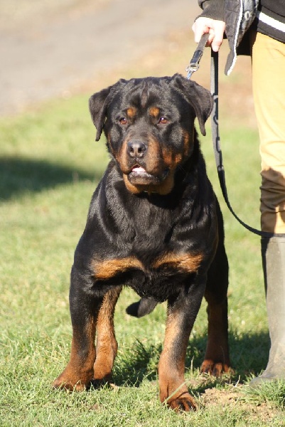 Loo-phok du Domaine de la Rêverie