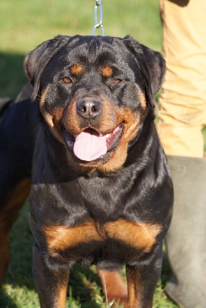 Label du Domaine de la Rêverie