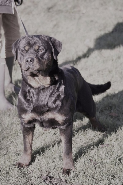 Label du Domaine de la Rêverie