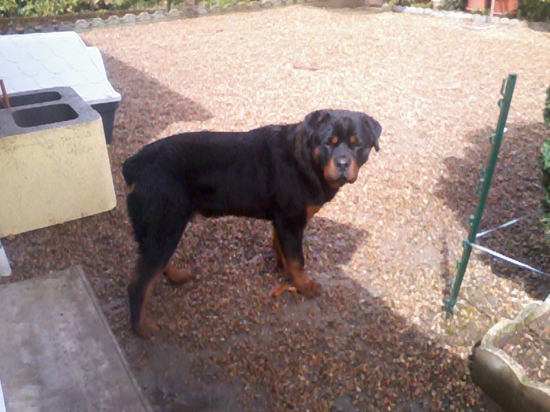 Google alias guizeur du Domaine de la Rêverie