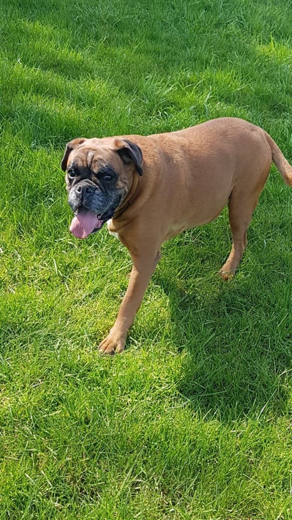 Eloa dite easy Des Fidèles Compagnons d'Uxen