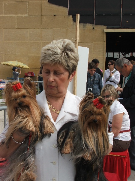 Publication : du Gué de l'Adour