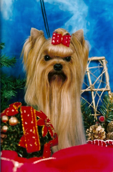 Publication : du Gué de l'Adour