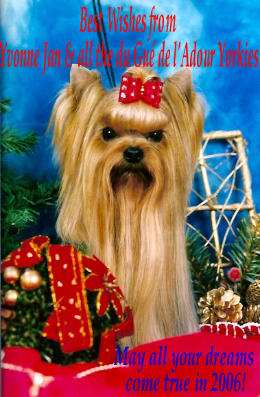 Publication : du Gué de l'Adour