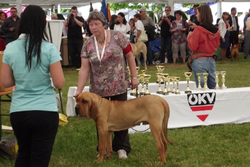 Geronimo du Clan des Brésiliens - 3eme