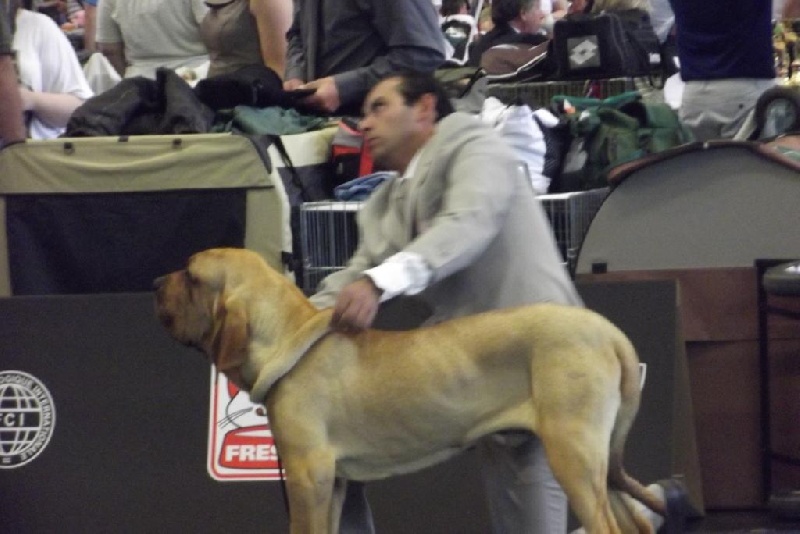 Geronimo du Clan des Brésiliens - 1 er