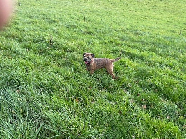 Sangria (Sans Affixe)