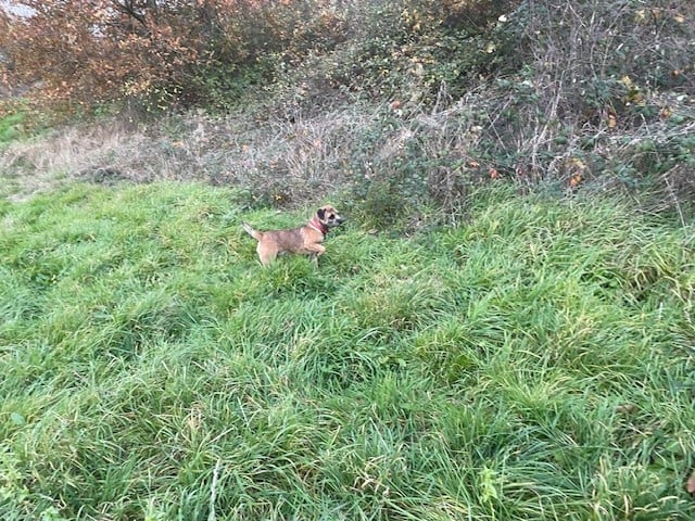 Sangria (Sans Affixe)