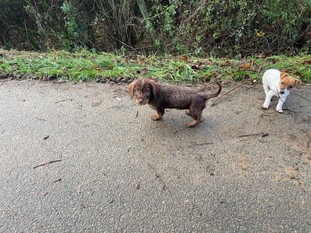 Publication : de l'antre des jacks Auteur : l'antre des jacks