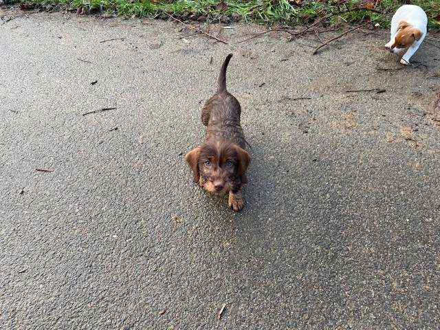 Publication : de l'antre des jacks Auteur : l'antre des jacks