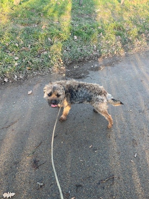 Publication : de l'antre des jacks