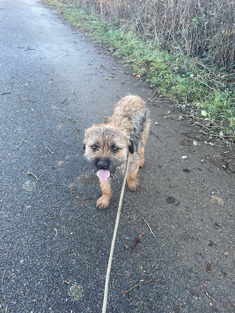 Publication : de l'antre des jacks