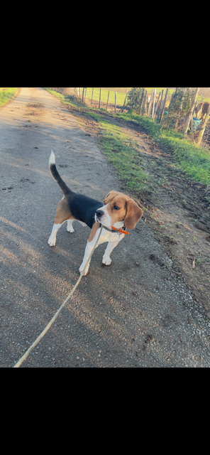 r'james de l'antre des jacks