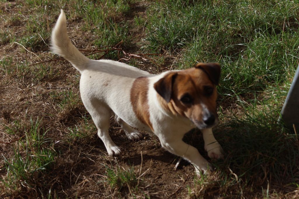 Publication : De La Ressource Auteur : l antre des jacks