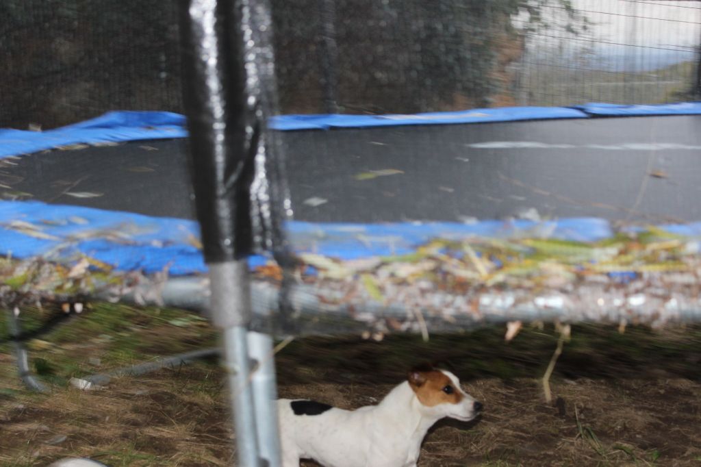 Publication : de l'antre des jacks Auteur : l antre des jacks