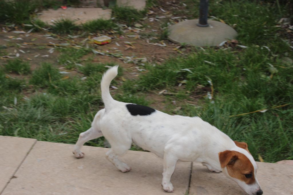 Publication : de l'antre des jacks Auteur : l antre des jacks