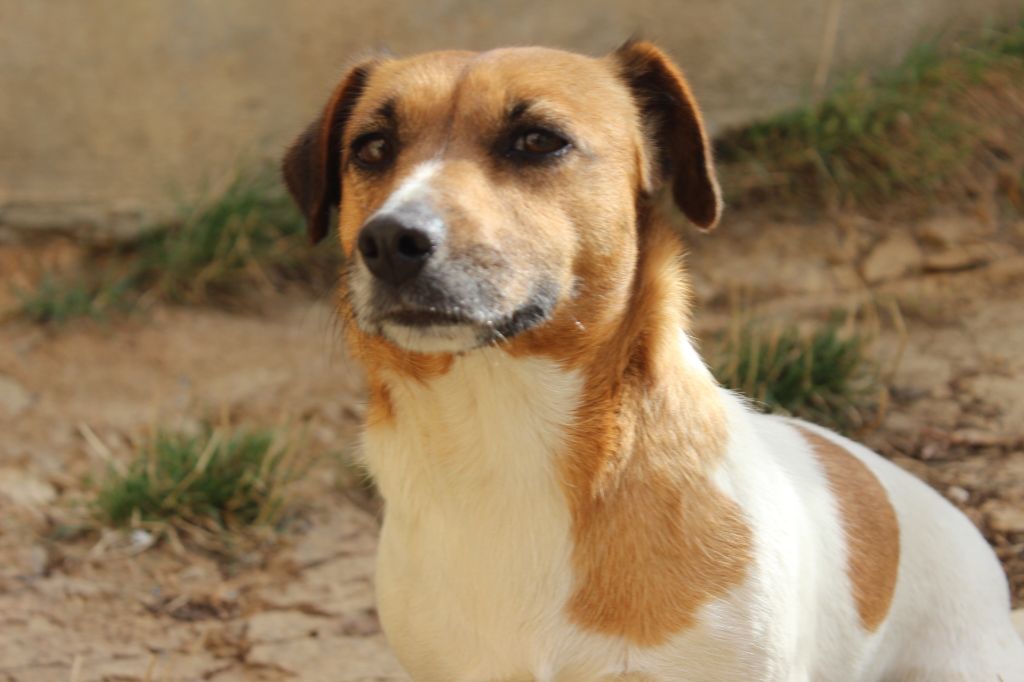 Publication : De La Ressource Auteur : l antre des jacks