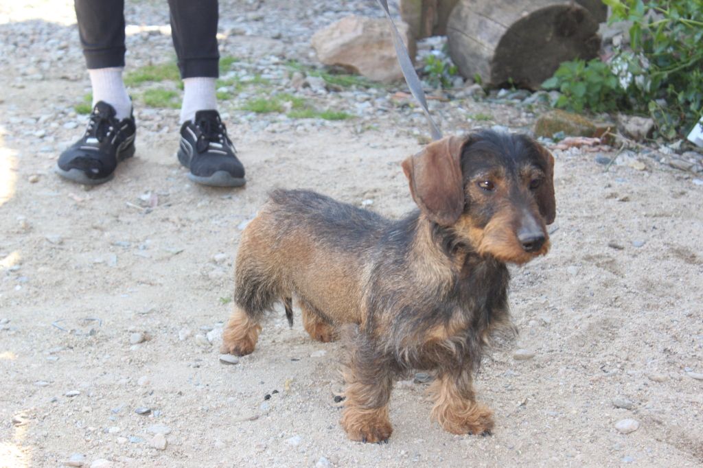 Publication : de l'antre des jacks