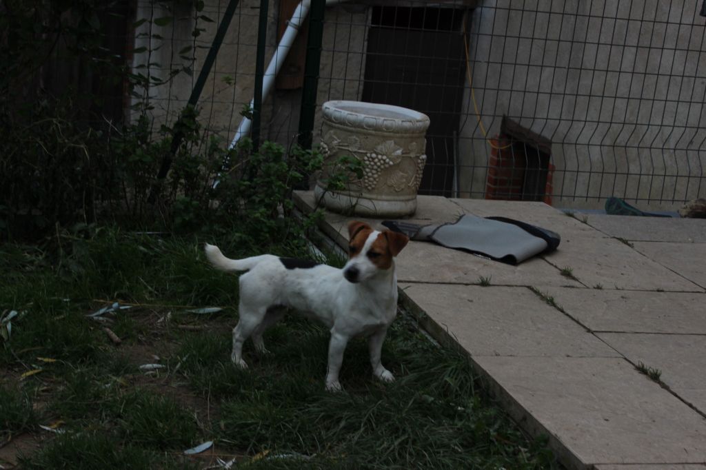 Publication : de l'antre des jacks Auteur : l antre des jacks