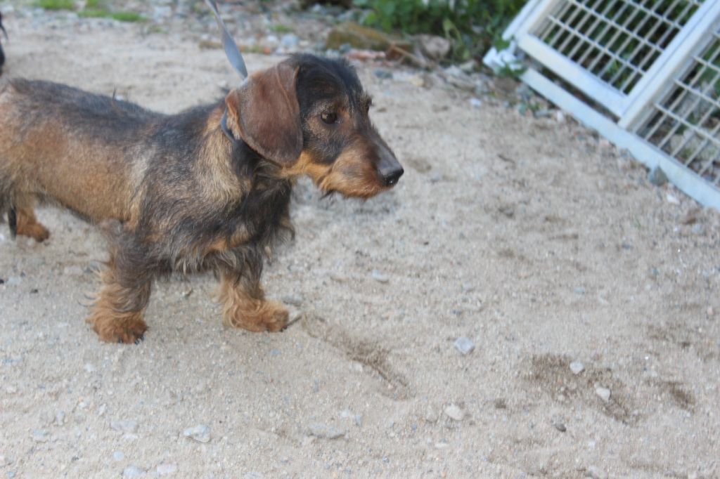 Publication : de l'antre des jacks