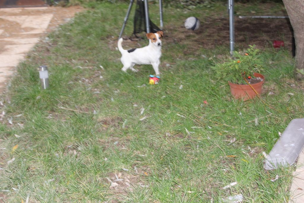 Publication : de l'antre des jacks Auteur : l antre des jacks