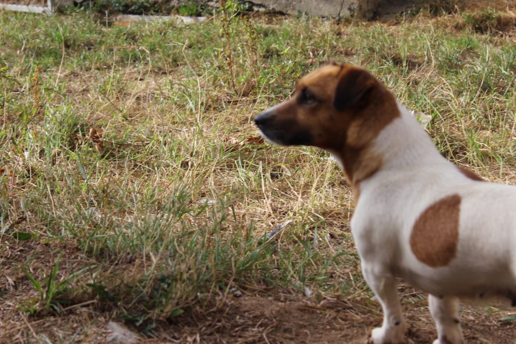 Publication : De La Ressource Auteur : l antre des jacks