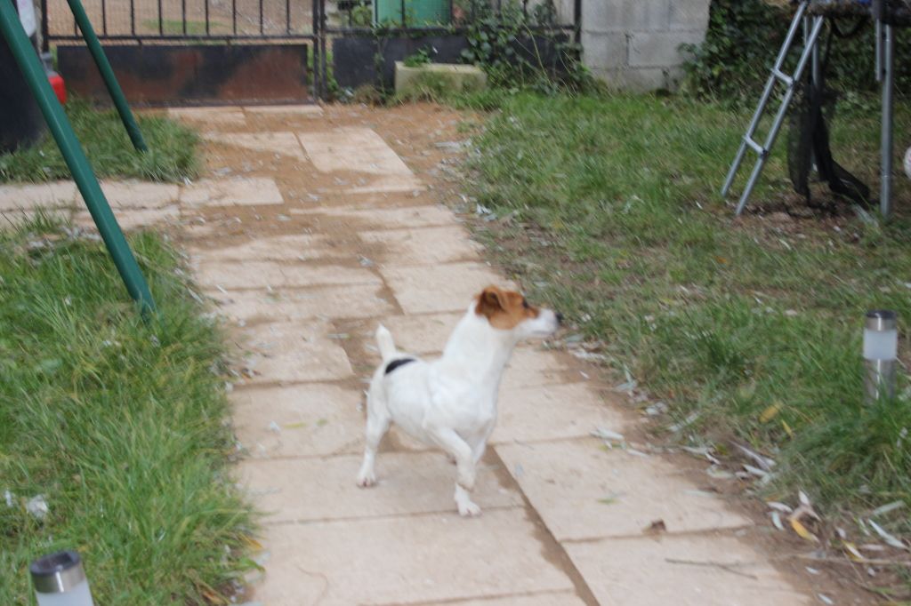 Publication : de l'antre des jacks Auteur : l antre des jacks