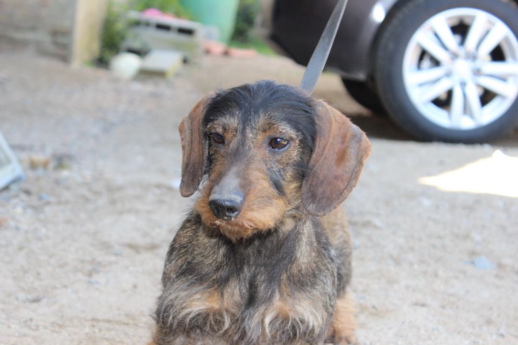 Publication : de l'antre des jacks