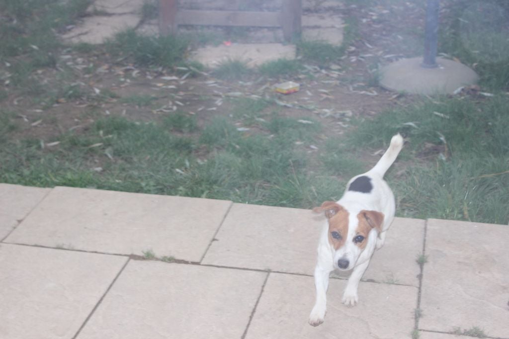 Publication : de l'antre des jacks Auteur : l antre des jacks