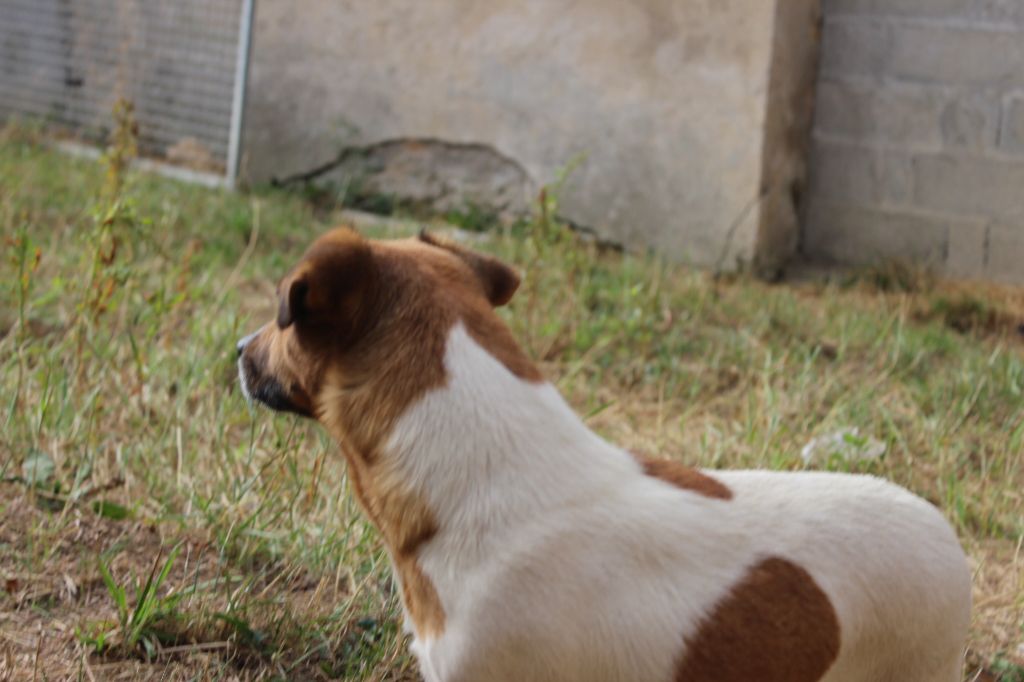 Publication : De La Ressource Auteur : l antre des jacks