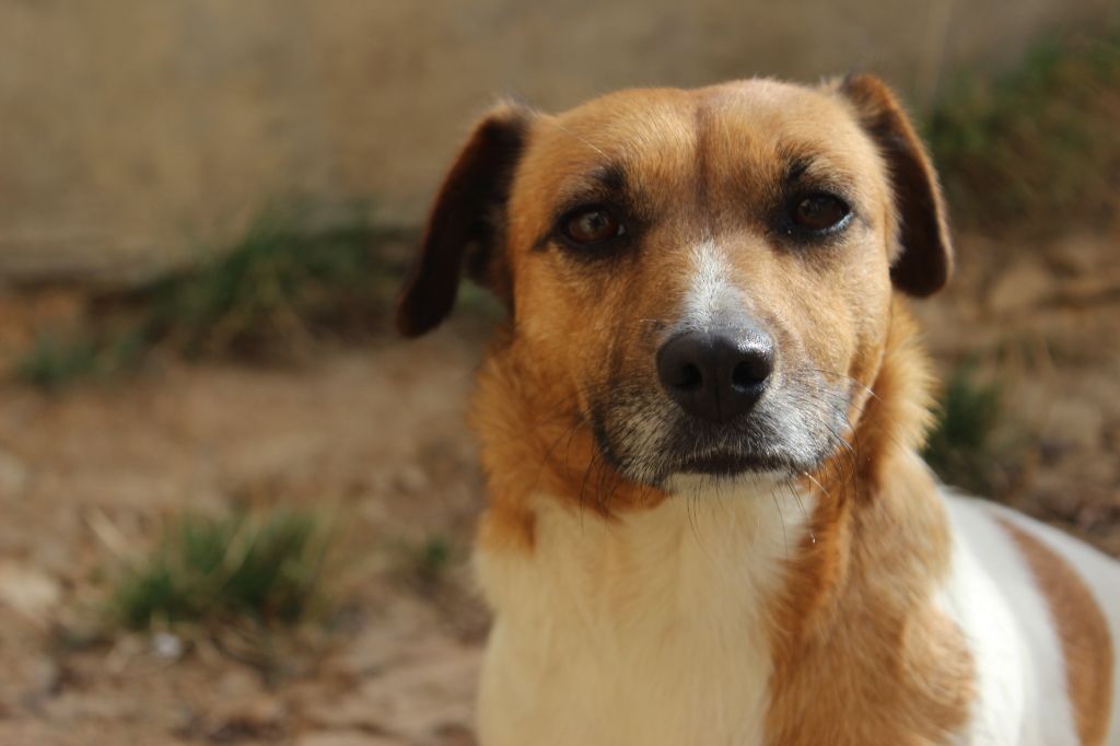 Publication : De La Ressource Auteur : l antre des jacks